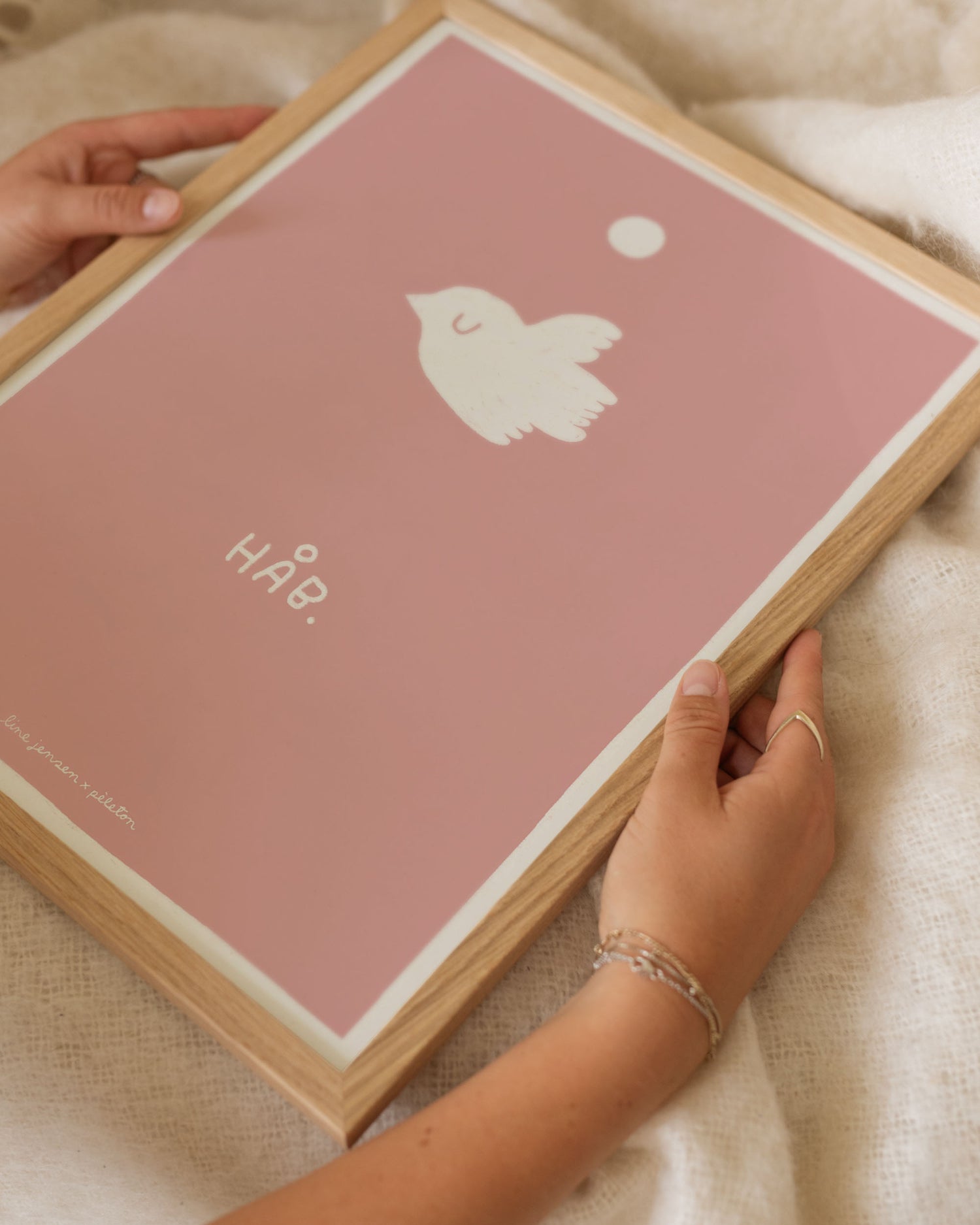 Dove - pink